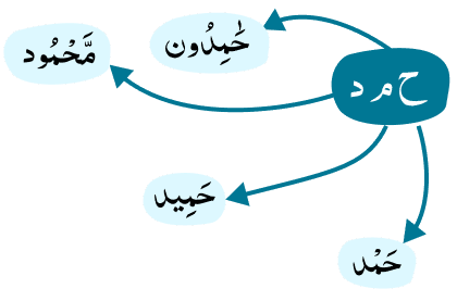 Quran Roots
